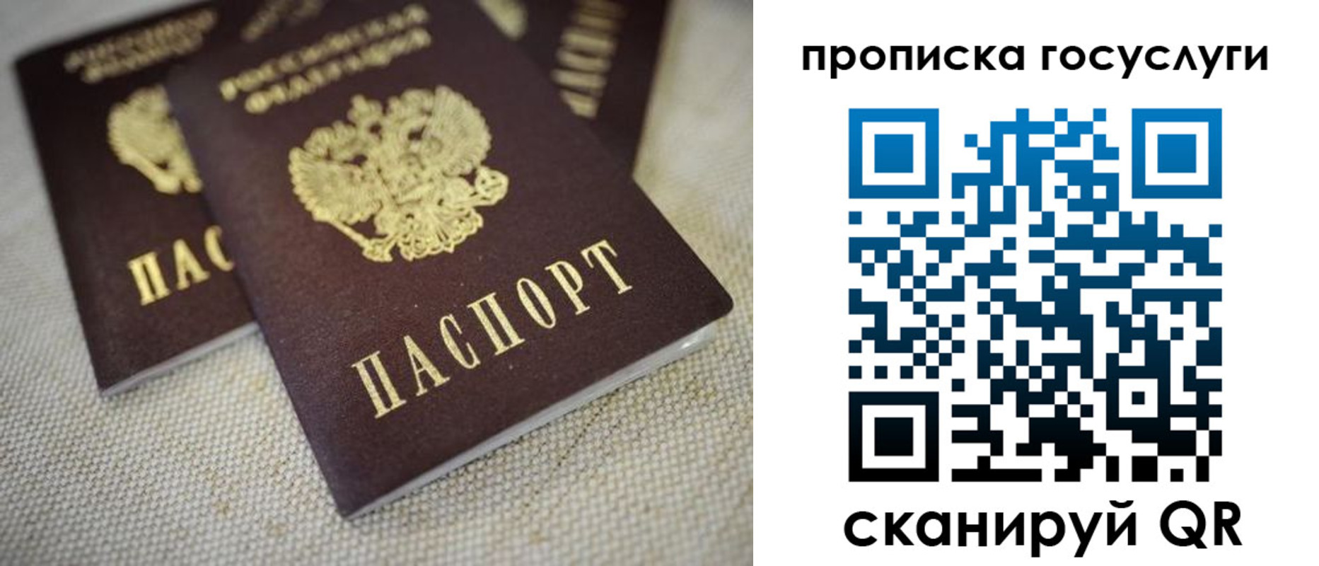 временная регистрация для всех в Курской области